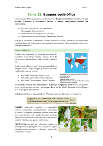 Biodiversidad-vegetal-Tema-13.pdf