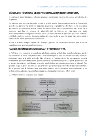 TECNICAS-DE-REPROGRAMACION-NEUROMOTORA-teoria.pdf