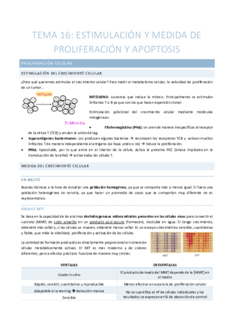 TEMA-16-Estimulacion-y-medida-de-proliferacion-y-apoptosis.pdf