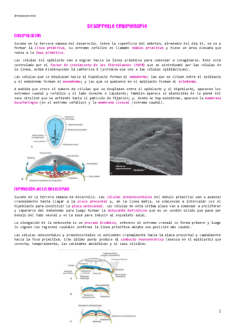 DESARROLLO-EMBRIONARIO.pdf