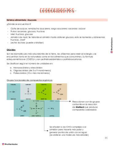 Clase 7. Carbohidratos I