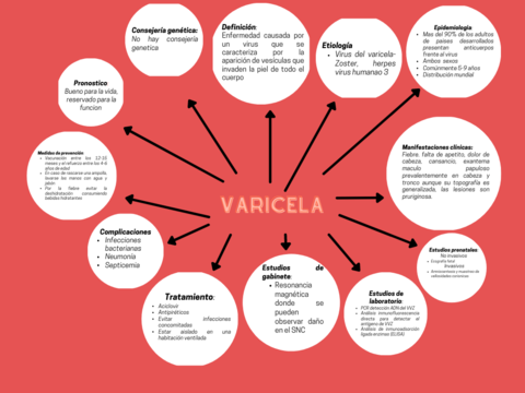 Varicela.png