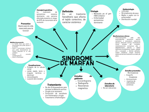 Sindrome-de-Marfan.png