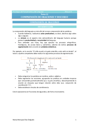 Tema-11-Comprension-de-oraciones-y-discurso.pdf