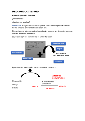 NEOCONDUCTIVISMO.pdf