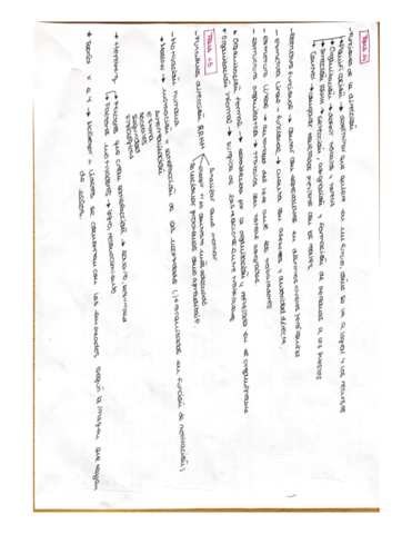 Esquemas-economia-.pdf