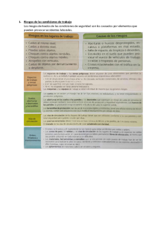 TEMA-13.pdf