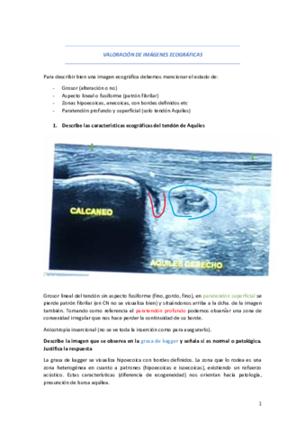 Ecografia.pdf