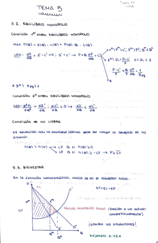 ejercicios-y-apuntes-TEMA-5.pdf