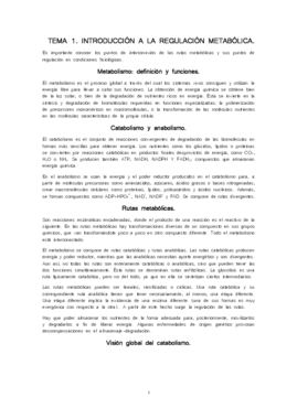 Tema 1 - RM.pdf