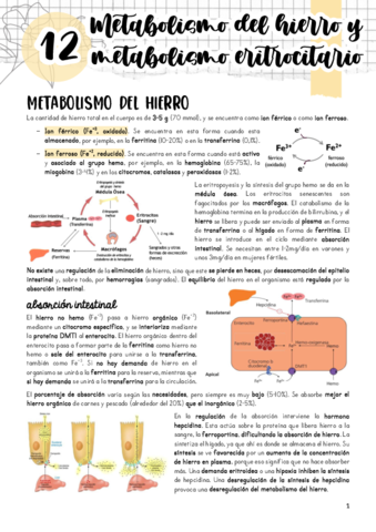 Tema-12.pdf