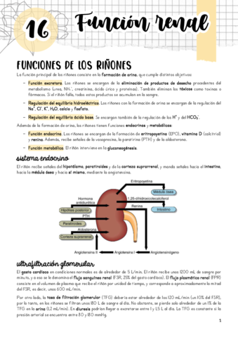 Tema-16.pdf