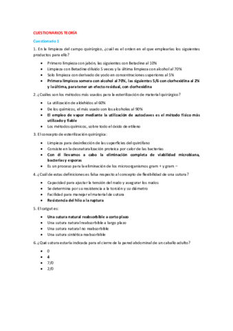 Cuestionarios-teoria.pdf