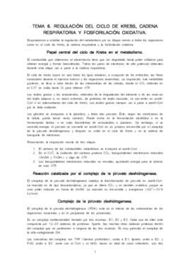 Tema 6 - RM.pdf