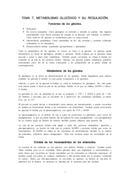 Tema 7 - RM.pdf