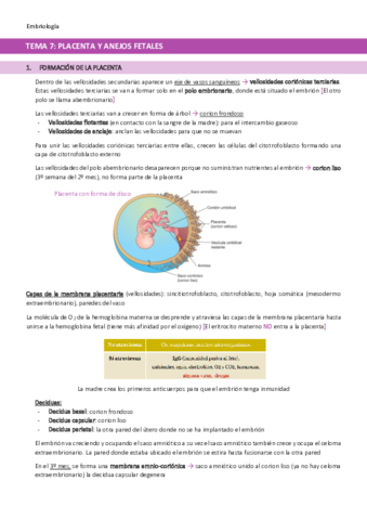 TEMA-7-Placenta-y-anejos-fetales.pdf