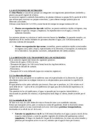 BIO-TEMA-12-FUNCION-DE-NUTRICION-EN-LAS-PLANTAS.pdf