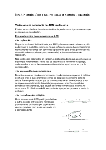 TEMA-1-XeneticaIIapuntes.pdf