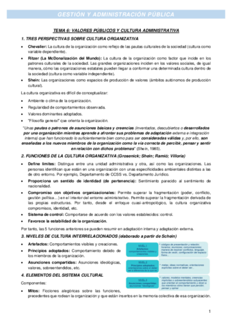 TEMA-6-Cultura-administrativa.pdf