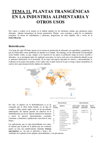 Tema-11-BVySH.pdf