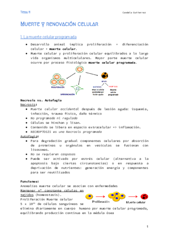 Biologia-molecular-Tema-11.pdf