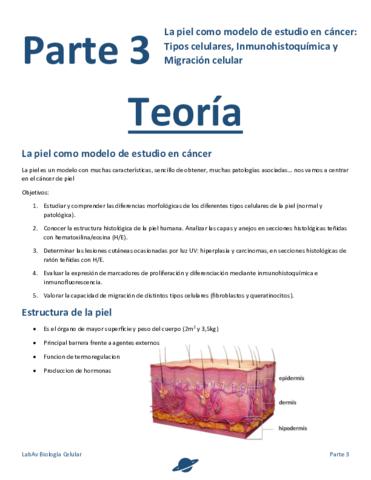 Apuntes-parte-3-.pdf