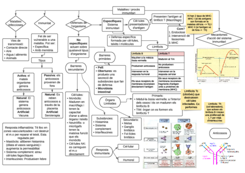 Malalties-i-proces-immunitari.pdf