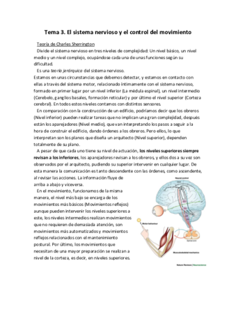 Tema-3.pdf