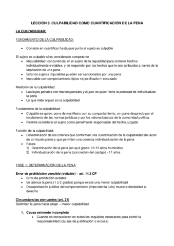 TEMA-6-PENAL.pdf