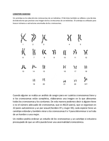 CARIOTIPO.pdf