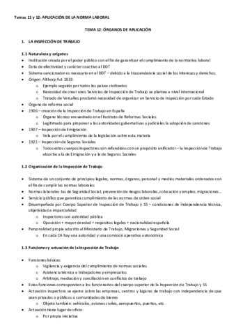 TEMA-12.pdf