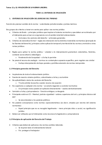 TEMA-11.pdf