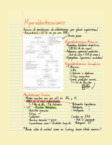 Hiperaldosteronismo.pdf