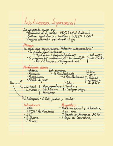 Insuficiencia-Suprarrenal-.pdf