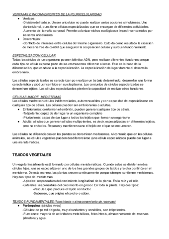 TEJIDOS-.pdf