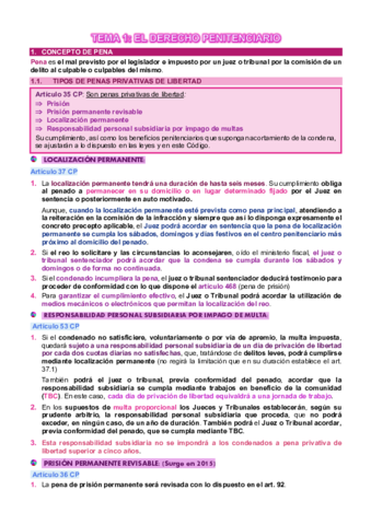 TEMA-1-DERECHO-PENITENCIARIO.pdf