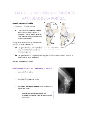 TEMA-13-CINESITERAPIA.pdf