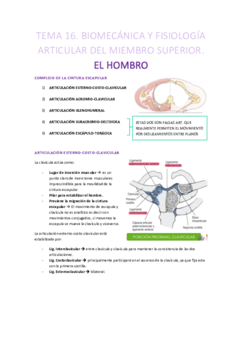 TEMA-16-CINESITERAPIA.pdf