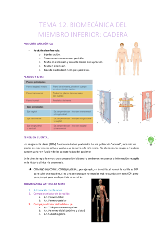 TEMA-12-CINESITERAPIA.pdf