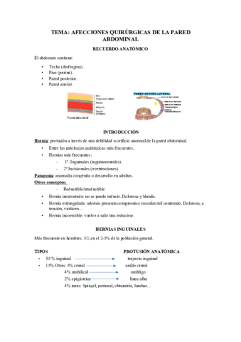 hernias.pdf