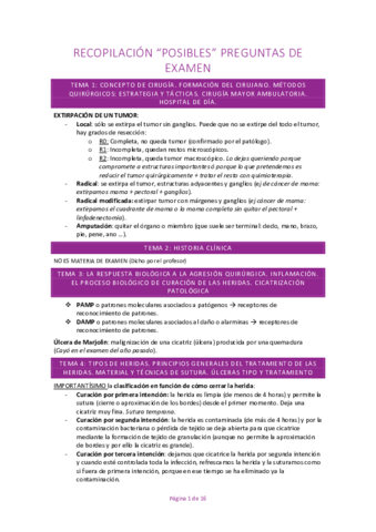 PREGUNTAS EXAMEN COMPLETO.pdf