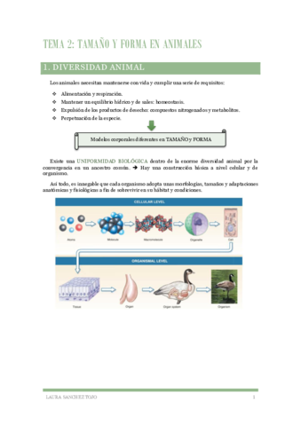 Zoologia-Tema-2-Diversidad-y-forma-animales.pdf