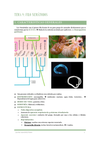 Zoologia-Tema-9-Filo-Nematodos.pdf
