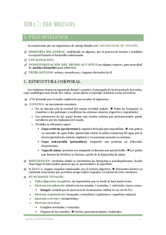 Zoologia-Tema-7-Filo-Moluscos.pdf