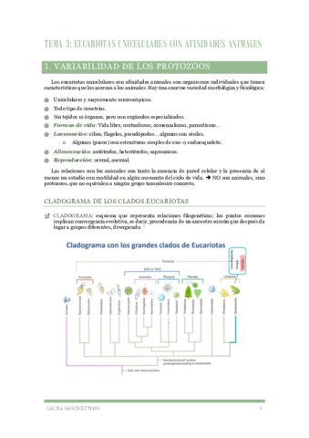 Zoologia-Tema-4-Eucariotas-unicelulares-con-afinidades-animales.pdf