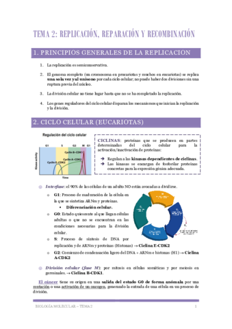 Biologia-Molecular-Tema-2-Replicacion.pdf
