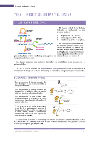 Biologia-Molecular-Tema-1-Estructura-del-DNA-y-el-genoma.pdf