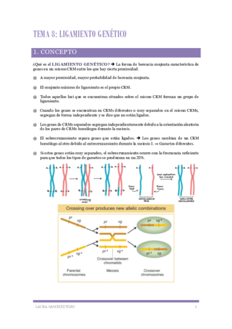 Genetica-Tema-8-Ligamiento-genetico.pdf