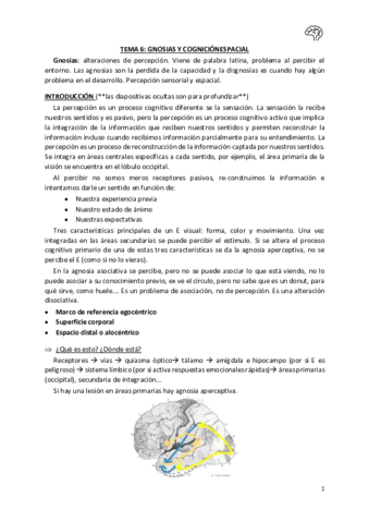 Tema-6-Neuropsicologia.pdf
