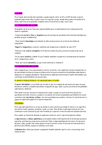 LA-PIEL-DDP.pdf